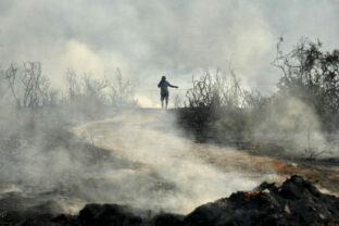 74870_cyprus_wildfire_09122 640x420.jpg