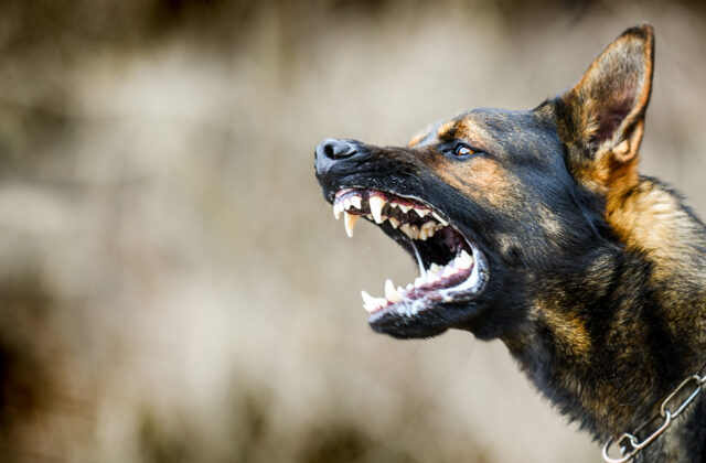 75227_gettyimages 1222256422 640x420.jpg