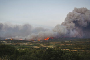75407_france_fires_83956 640x420.jpg