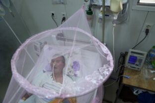 75480_paraguay_chikungunya_05531 640x420.jpg