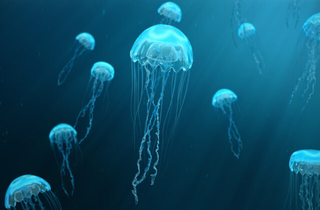 75584_gettyimages 1033700106 640x420.jpg