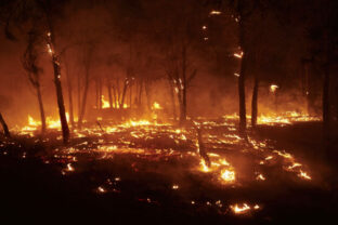 75642_europe_fires_19218 640x420.jpg