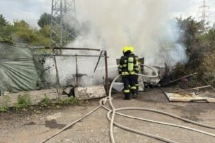 75983_poziar zabi majer2 640x420.jpg