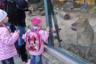 76126_zoo 640x420.jpg