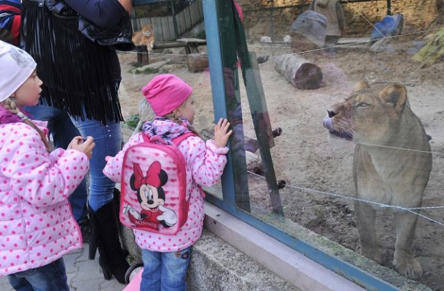 76126_zoo 640x420.jpg