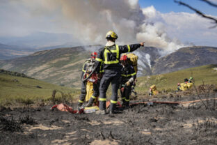 76704_spain_fires_22400 1 640x420.jpg
