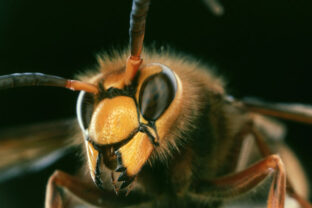 77010_gettyimages 90066293 640x420.jpg
