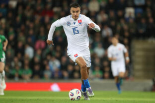 78176_northern_ireland_slovakia_wcup_soccer_32561 640x420.jpg