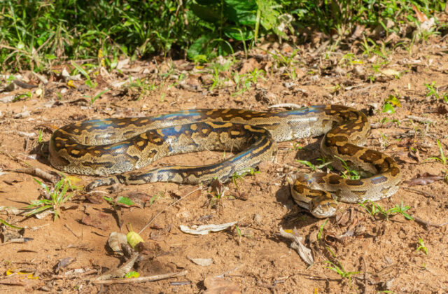 78333_gettyimages 1596132929 640x420.jpg