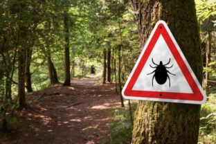 78499_gettyimages 1367896383 640x420.jpg