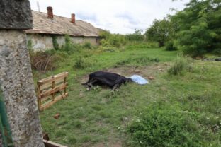 78708_570496150_1245852180913681_1713307075402148805_n 640x420.jpg