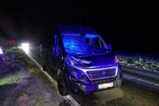 79065_577040680_1301354398701305_7466294168168098227_n e1762157775525 640x420.jpg