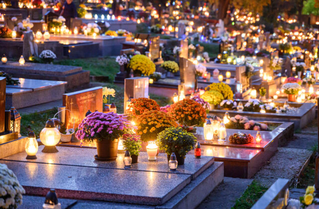 79152_6725205e8f2ea252625038 640x420.jpg