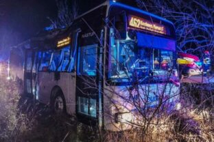 79300_577015576_1306001601569918_1678407508543635442_n 640x420.jpg