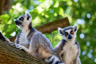 79317_669675f31c365867322568 scaled 1 640x420.jpg