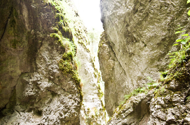 79583_gettyimages 1032775164 640x420.jpg