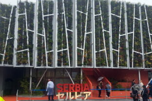 79728_67fb84e299940516905375 640x420.jpg