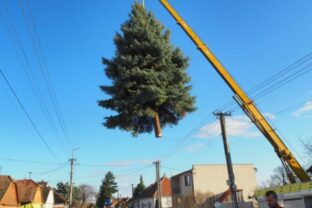 79818_ae08ecaa bf05 4454 b30d 4119d771b679 640x420.jpeg