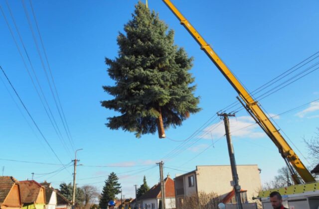 79818_ae08ecaa bf05 4454 b30d 4119d771b679 640x420.jpeg