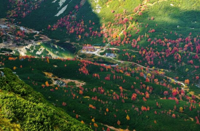 79892_grand prix 2025_peter dobrovsky cestou farieb vysoke tatry 640x420.jpg