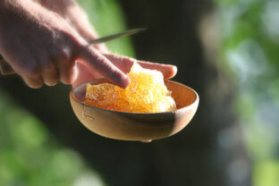 80047_vceli kut 640x420.jpg