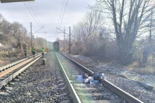 80308_588651317_1161705216156910_2071212676845272598_n 640x420.jpg