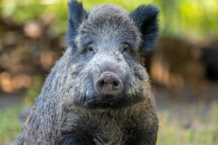 80325_gettyimages 1342198108 640x420.jpg