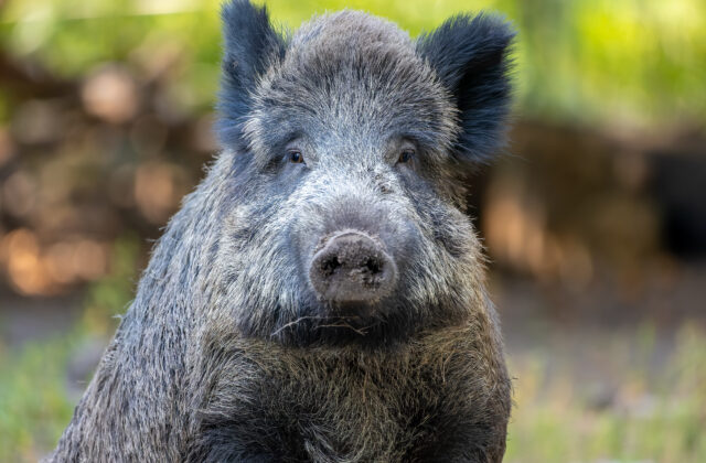 80325_gettyimages 1342198108 640x420.jpg