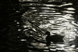 80672_russia_daily_life_22744 640x420.jpg