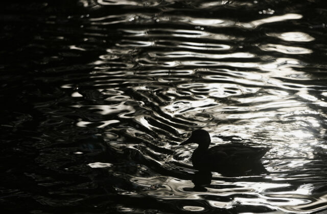 80672_russia_daily_life_22744 640x420.jpg