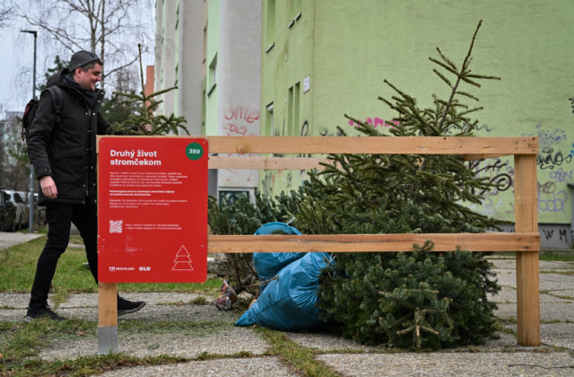 80748_659a8ca239567783594386 640x420.jpeg