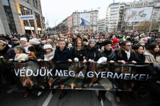 80866_hungary child welfare protest_74928 640x420.jpg