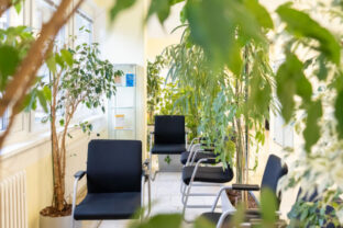 80995_1 2 640x420.jpg