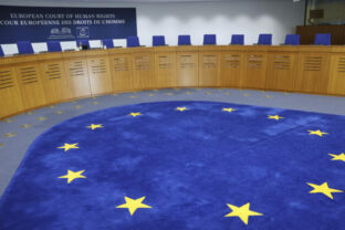 80997_eu_human_rights_court_57328 640x420.jpg