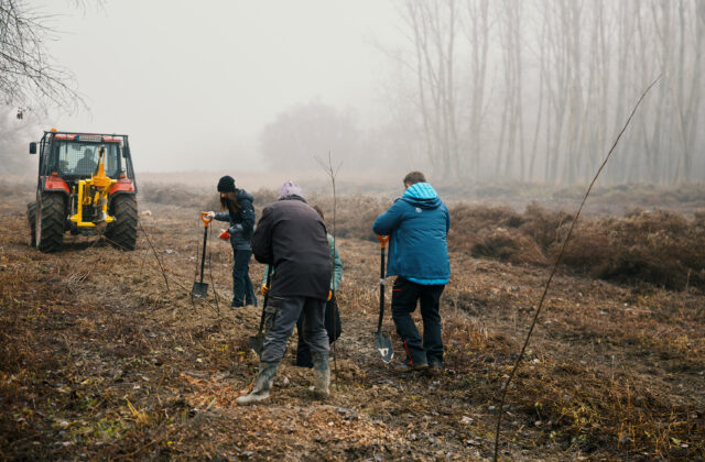 81021_3g0a4978 640x420.jpg