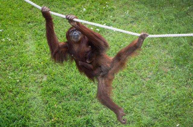 81103_64e095c583b90480653355 1 640x420.jpg