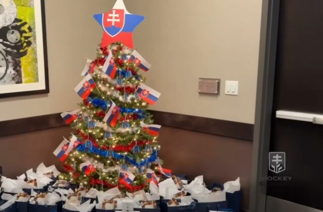 81219_slovenska hokejova dvadsiatka oslavovala vianoce v usa 640x420.jpg