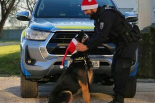 81233_policia na stedry den 640x420.jpg