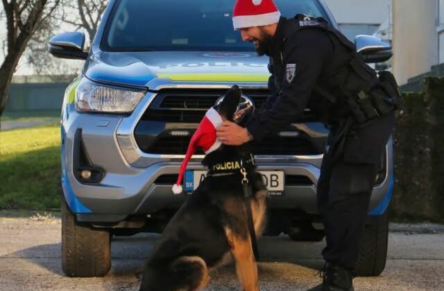 81233_policia na stedry den 640x420.jpg