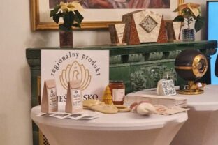 81245_piestansko 640x420.jpg