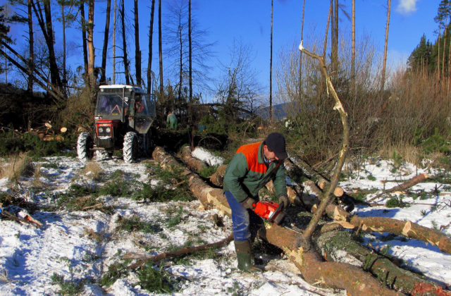 81300_img_3323 640x420.jpg