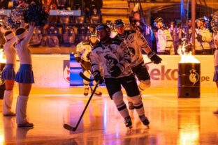 81314_titulka 640x420.jpg