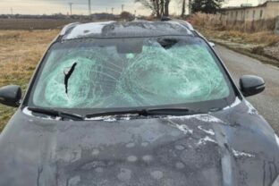 81458_612115513_1320298330143740_2096430011754636772_n e1767612538738 640x420.jpg