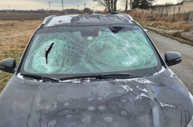 81458_612115513_1320298330143740_2096430011754636772_n e1767612538738 640x420.jpg