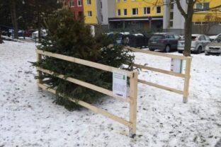 81569_titulka ke 3 640x420.jpg