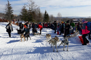 82450_02 640x420.jpg