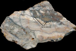 82829_textura ziloviny 640x420.jpg