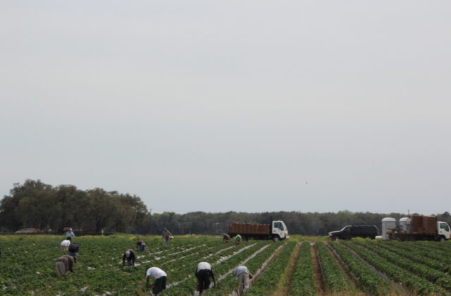 89045_gettyimages 2242044905 640x420.jpg
