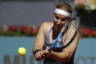 89242_dominika cibulkova 640x420.jpg