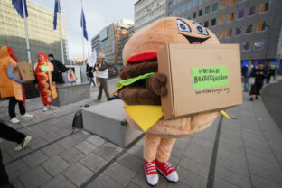 89795_belgium_eu_regulations_burgers_03948 640x420.jpg